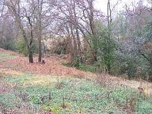 5th image of 5541 Oldham Dr