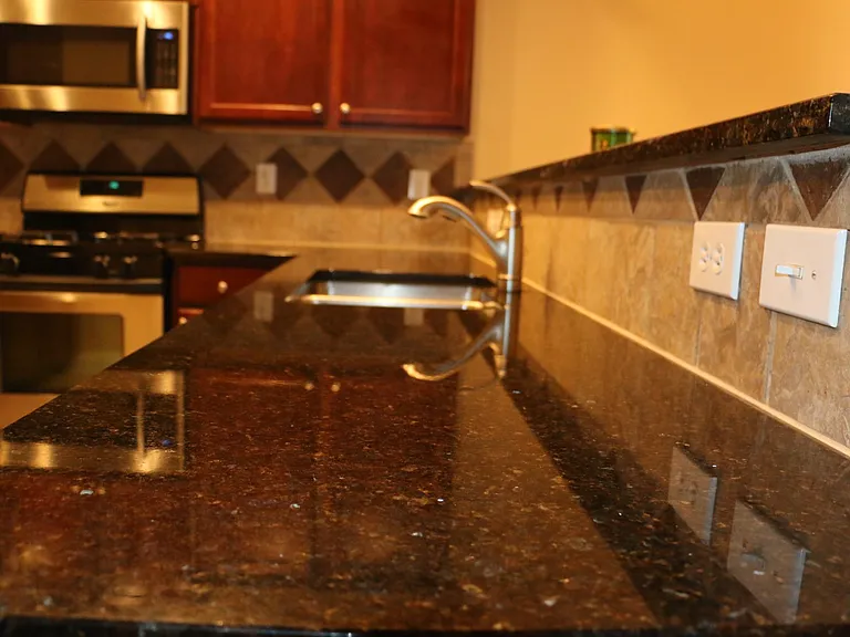 11228 Snowy Owl Ln — Photo 48