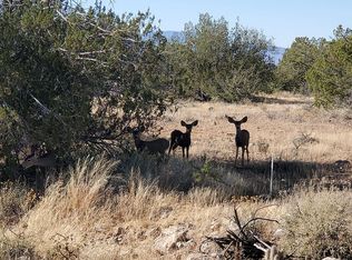 4445 N Valancius Way, Rimrock, AZ 86335