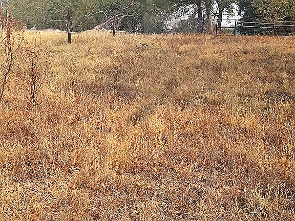 4th image of 17157 Muledeer Dr