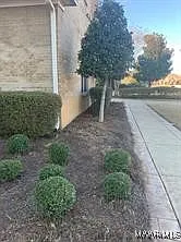 4 bed, 3.5 bath, 4652 sqft, $4,000 — Photo 3