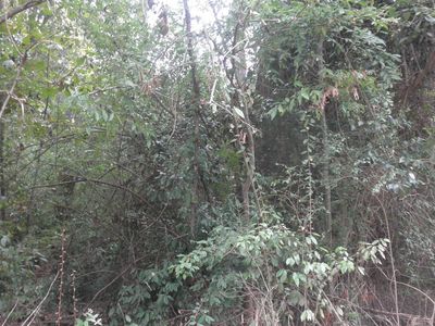 0 Waters St Lot 245, Monticello, GA, 31064