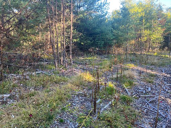 3rd image of 0 Flagg Mill Road