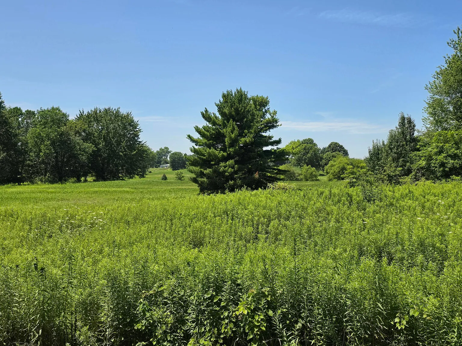 0 Tschopp Rd NE Lot 17 photo 1