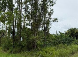 2903 Hanna Ave N, Lehigh Acres, FL 33971