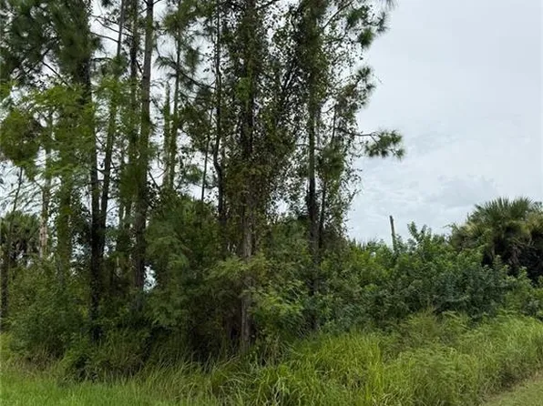 2903 Hanna AVE N, LEHIGH ACRES, FL 33971