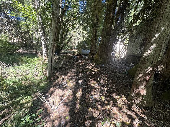 3rd image of 718 Lees Creek Rd