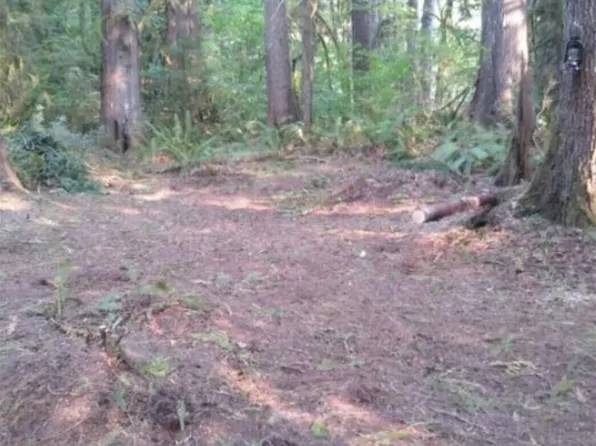 0 W Blueberry Lane, Shelton, WA 98541