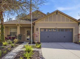 20900 Oldenburg Loop, Mount Dora, FL 32757