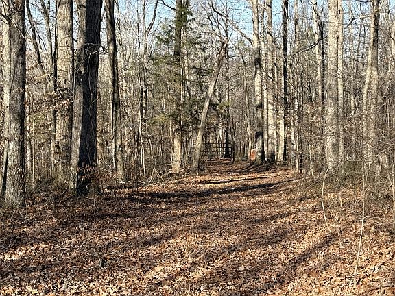 2nd image of 0 Rocky Point Rd