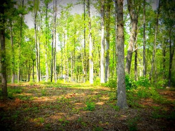 Large wooded lot