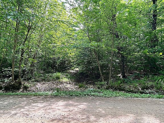 View of lot 113 - Spring