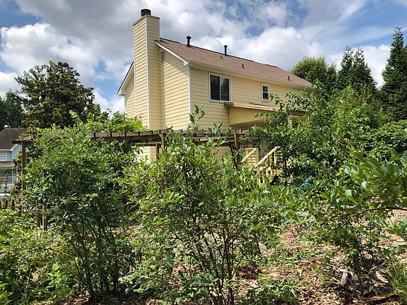 Blueberry bushes, mulberry tree , grapevine trellis in back yard facing back of home and covered deck