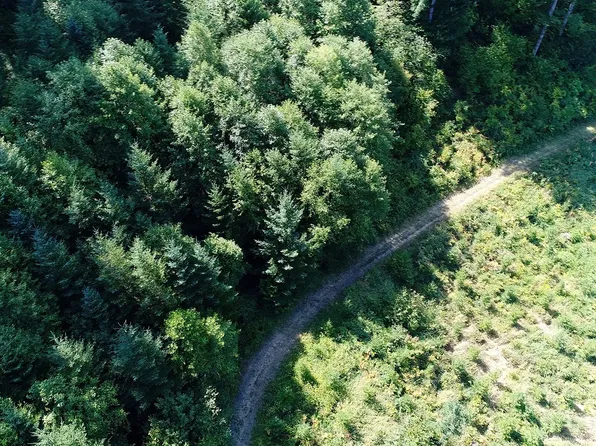 19420 NE Buncombe Hollow Rd, Woodland, WA 98674