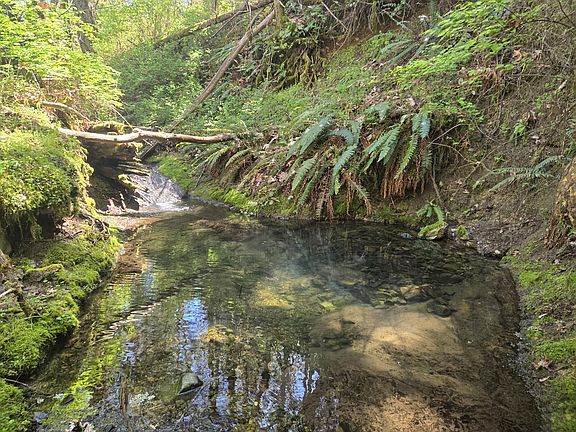 2nd image of 1065 Panther Gulch Rd