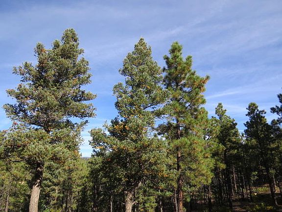 2nd image of Lot 30 C Rancho Escondido