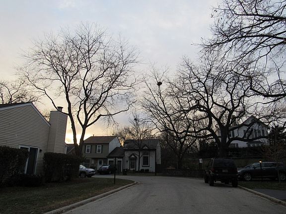4th image of 232 W Dartmoor Ave #1