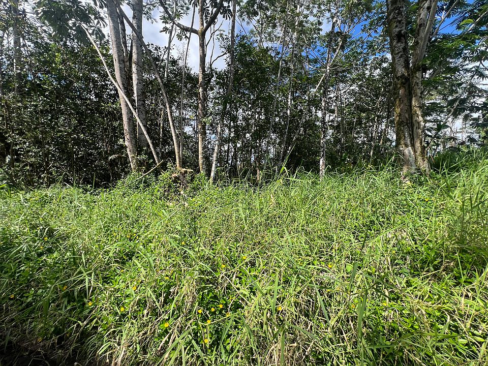 2nd image of Tiki Rd Lot 17