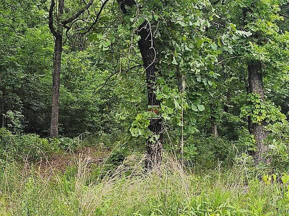 2nd image of 0 S 4630th Rd