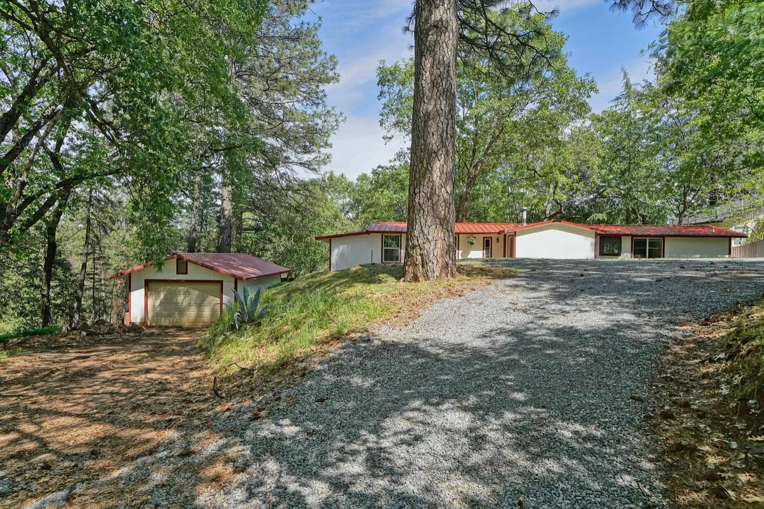 951 Chili Aly photo 1