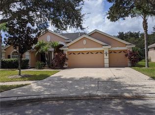 19118 Nature Palm Ln, Tampa, FL 33647