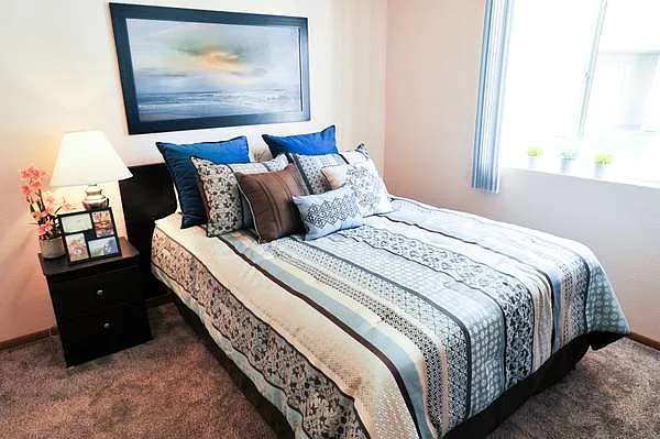 1 bed, 400 sqft, $1,250 — Photo 3
