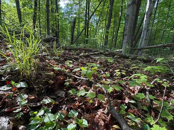 Erie St Parcel B, East Jordan, MI 49727