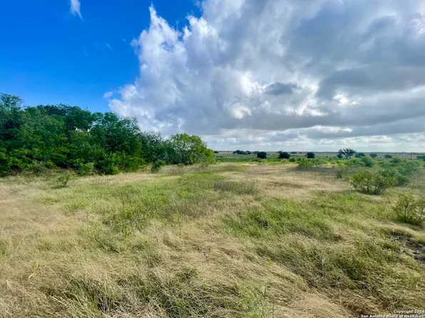 TRACT 2 920 COUNTY ROAD 201 LOT 140B, Falls City, TX 78113