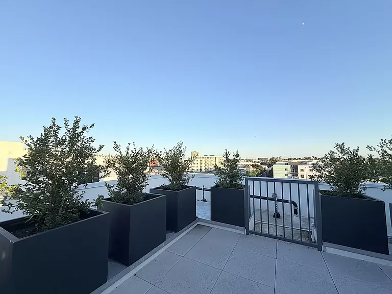 Lux Catalina — Photo 23