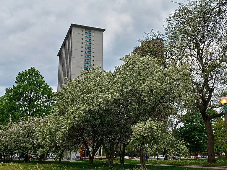 View from the footpath along the lakefront at the Golf Course