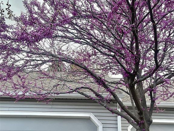 2nd image of 13703 E Marina Drive #A