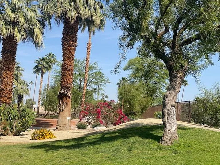 E Palm Canyon Dr — Photo 29