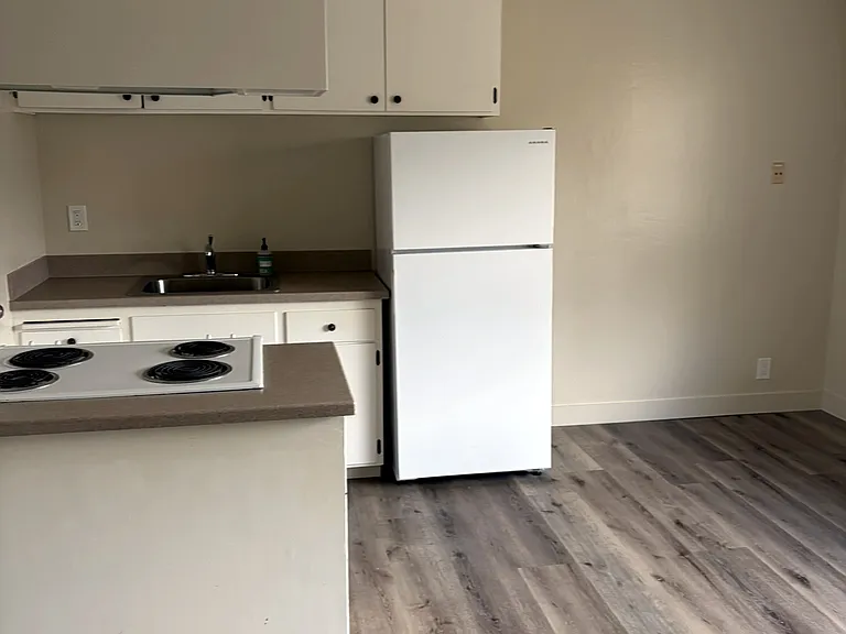 318 Chestnut St #5 — Photo 30
