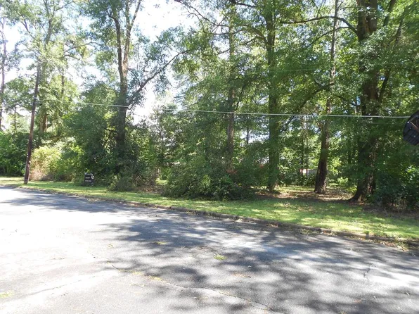 316A Lakeshore Dr, Montezuma, GA 31063