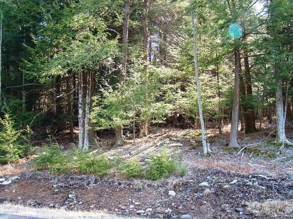 1st image of Maplewoodgarden Road