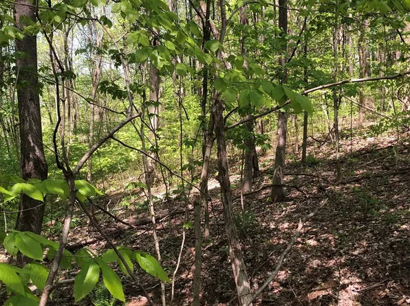 3 Pleasant Home Dr, Austin, KY 42123