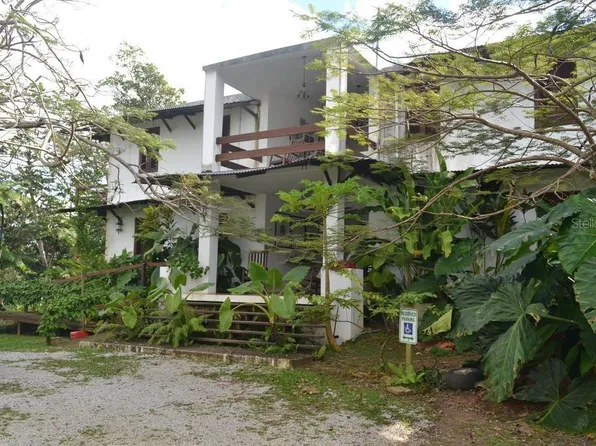 Pitahaya Camino, Luquillo, PR 00773