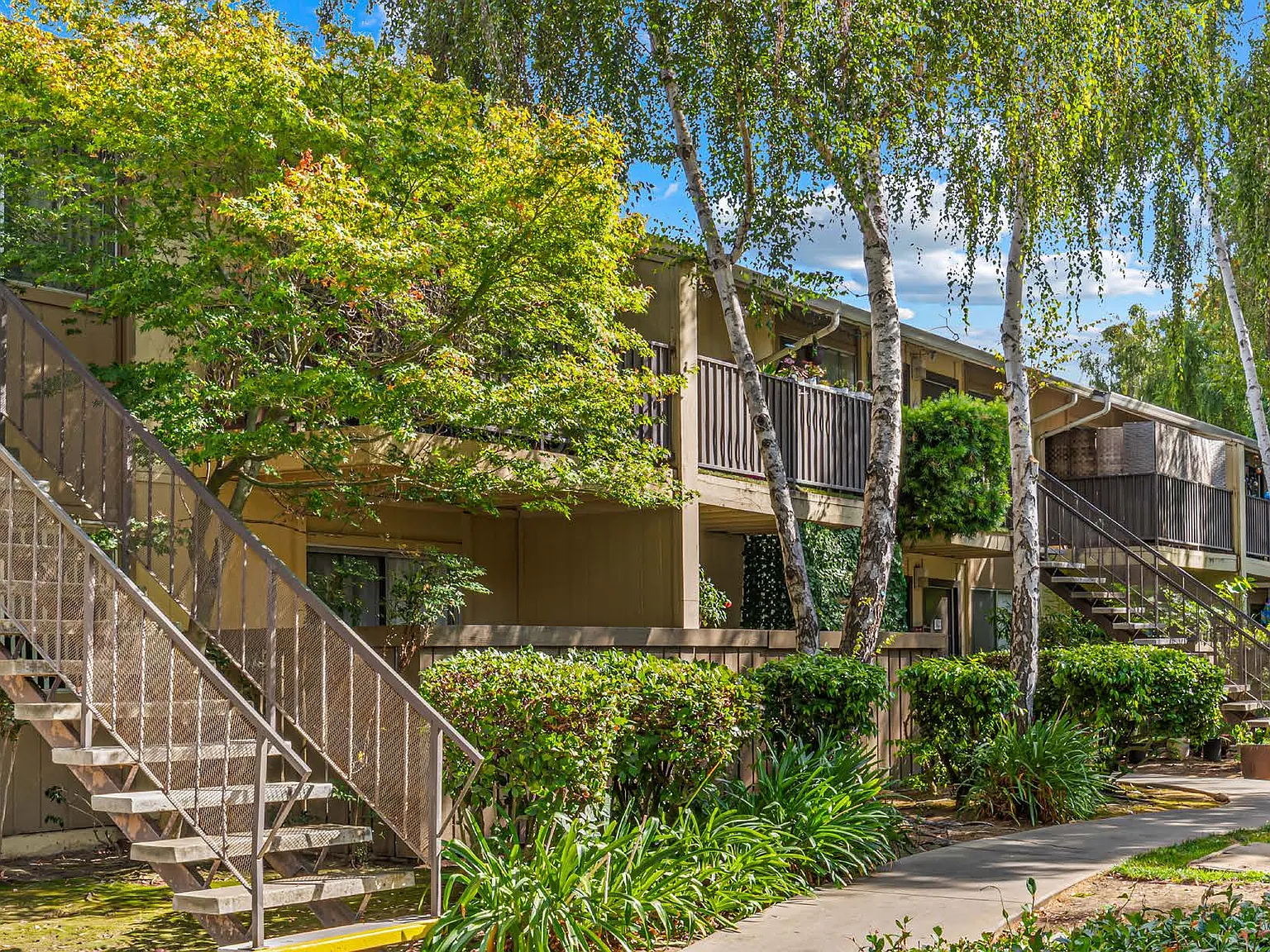 Almaden — Photo 2