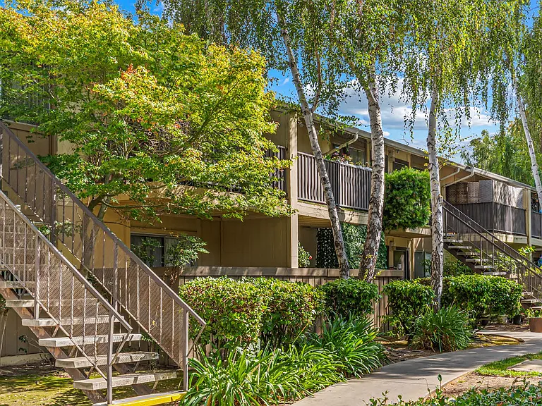 Almaden — Photo 2