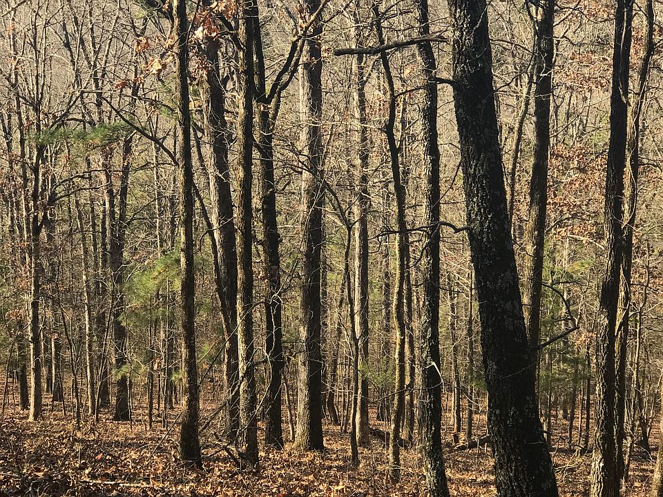 1st image of 100 Sleepy Hollow Ln