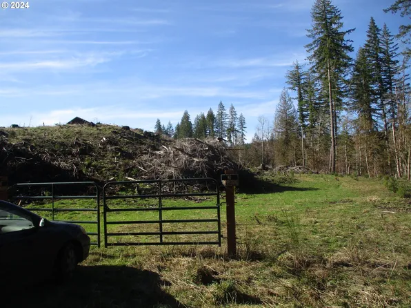 (undisclosed Address), Vernonia, OR 97064