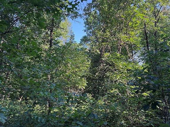4th image of 00000 Volkmann Lane