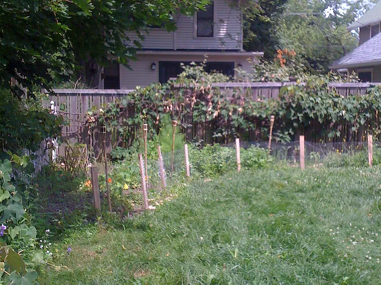 206 Buena Vista Ave #2 — Photo 10