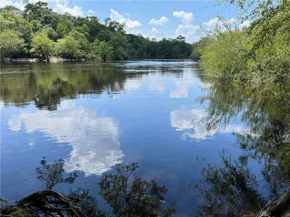 568 Sandy Loop, Hortense, GA 31543