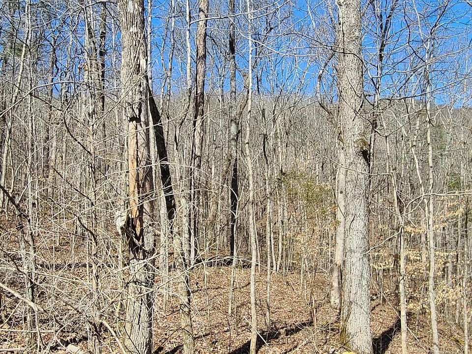 1st image of Buffalo Cove Ln