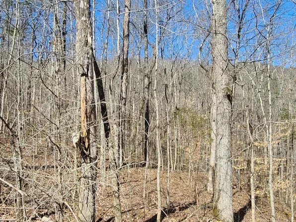 Buffalo Cove Ln, Jamestown, TN 38556