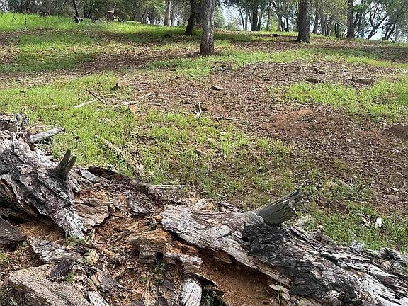 3rd image of 3-154 Boitano Rd N