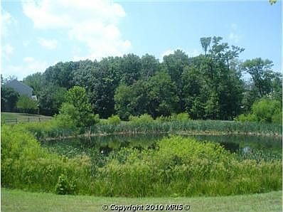3rd image of 5411 Willow Forest Ct
