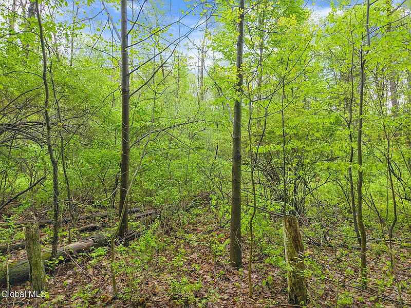 3rd image of L4.112 Rocky Ridge Road