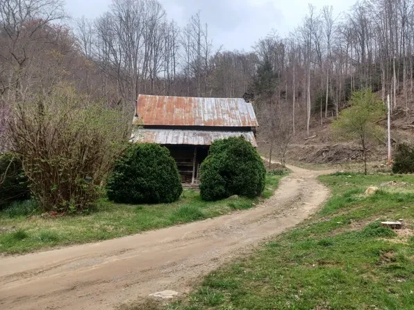 121 Highsmith Ln, Roan Mountain, TN 37687